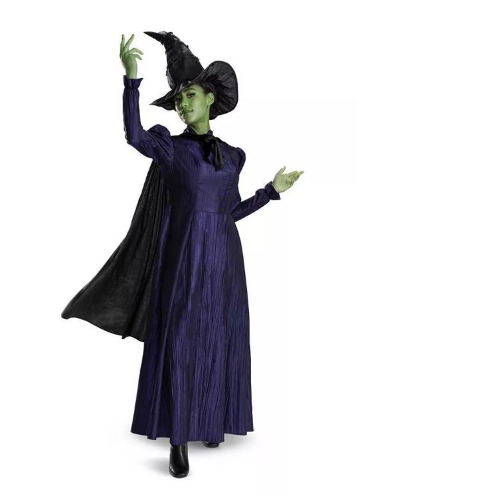 Wicked Witch Elphaba Halloween Costume 4/6 Purple Dress, Cape, Hat 3 Pc Girls